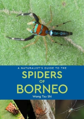 A Naturalist's Guide To The Spiders Of Borneo Wong Tsu Shi John Beaufoy Publishing Ltd