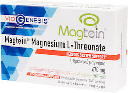 Viogenesis Magtein Magnesium L-Threonate 670mg 60 Vegetable Capsules Viogenesis Magtein Magnesium L-Threonate 670mg 60 Vegetable Capsules