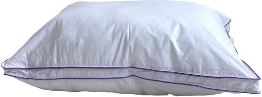 Palatex Σιλικόνης 50x70cm