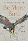 Be More Bird Life Lessons From A Hawk Candida Meyrick