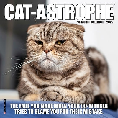 Cat-astrophe 2026 Mini Wall Calendar Willow Creek Press Wlcp
