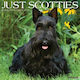 Scotties 2026 Wall Calendar Willow Creek Press Wlcp