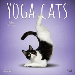 Yoga Котки Официален 2026 12 X 24 Инча Висящ Месечен Квадратен СТенен Календар Без Пластмаса Browntrout Brown Trout