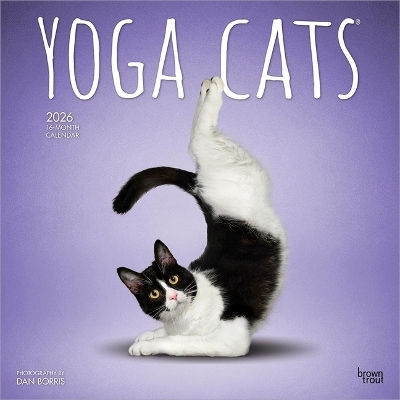 Yoga Котки Официален 2026 12 X 24 Инча Висящ Месечен Квадратен СТенен Календар Без Пластмаса Browntrout Brown Trout