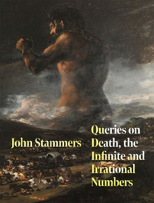 Queries On Death, The Infinite And Irrational Numbers John Stammers Picador