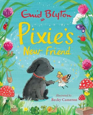 Pixie's New Friend Enid Blyton Hodder Children's Books