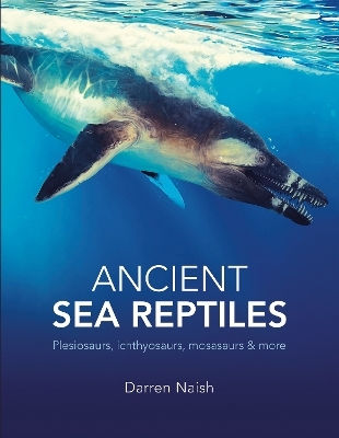 Ancient Sea Reptiles: Plesiosaurs, Ichthyosaurs, Mosasaurs And More Darren Naish The Natural History Museum Ancient Sea Reptiles: Plesiosaurs, Ichthyosaurs, Mosasaurs And More Darren Naish The Natural History Museum