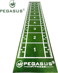 Pegasus Συνθετικός Χλοοτάπητας 2x11m 3159