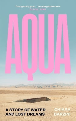 Aqua A Story Of Water And Lost Dreams Chiara Barzini
