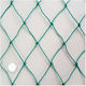 Court Net Green 2x30m Φ2.8 Mesh 11x11cm