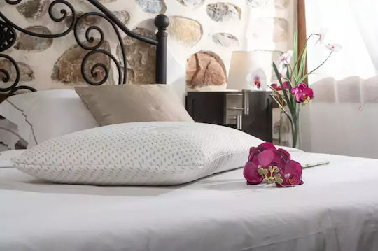 Alpha Foam Classic Aloe Vera Memory Foam Ανατομικό 50x70cm