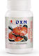 DXN Reishi Gano Powder (RG) 15гр