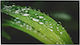 Dahua DHI-LS650KCM-UF Public Display LED ADS 4K UHD 65"