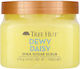 Tree Hut Dewy Daisy Scrub Σώματος 510gr