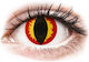 Crazy Lens Drache Augen