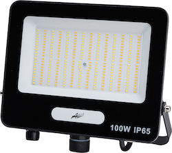 Adeleq Waterproof LED Flood Light 100W Warm Whi...
