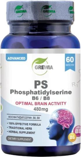PS – Fosfatidilserină B6 / B8 60 Capsule