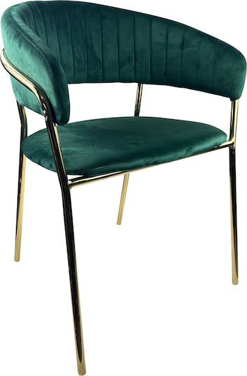 Stühle Speisesaal Minthorne 54x53x80cm 4Stück Cypress/Gold