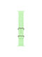 Apple Ocean Band Extension 49mm Λουράκι Σιλικόνης Neon Green - Natural Titanium Finish (Apple Watch 49mm)