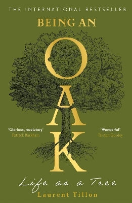 Being An Oak Life As A Tree Laurent Tillon