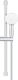 Grohe Tempesta 110 Dusch-Schiebeschiene 26915003 Wandmontiert Universell 600 Mm 2 Funktionen Glänzendes Chrom