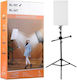 Roza Rl-19t Led Photography Light Tripod & Remote Studio Light 2500-7500k