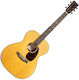 Martin Semi-acustic Chitară Natural