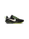 Pegasus Trail 5 Sport Shoes Trail Running Black