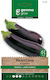 Aubergine Long Eggplant Gemma