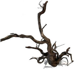 Tropical Wooden Aquarium Piece HS Aqua Dark Spider Wood M 31-40 Cm