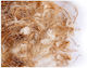 Sisal Fibre Nest Yarn Juta Cotton Canaries Jute Cotton White Yarn 1000 Gr