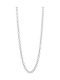 Silver Chain Neck