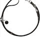 Hunter Dog Leash/Lead Leather in Brown color
