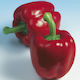 Pepper Ferrari F1 Packet 500 Seeds
