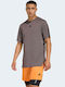 3 Stripes T-Shirt Brown