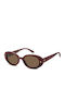 Polaroid Unisex Sunglasses With Red Horn-Rimmed Frame And Brown Lens PLD6253/S/X LHF/SP
