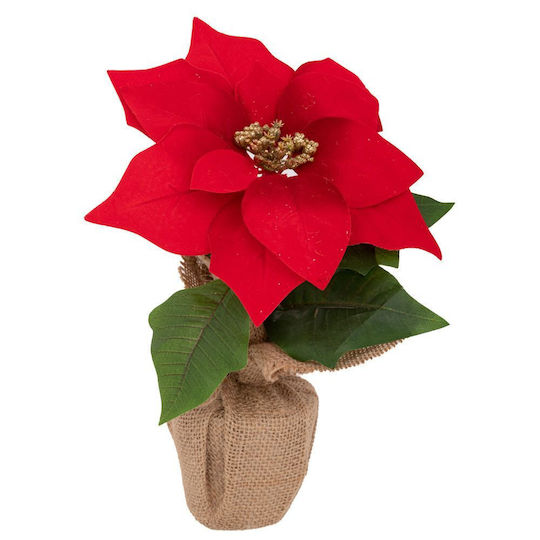 Iliadis Weihnachtsdekoration Alexandrinischer Länge 24cm.