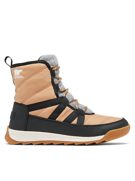 Sorel