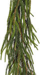 Iliadis Lighted Christmas Garland Green 1pc