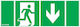 Es-system Pictogram Monitor 1 112x312 Door + Bottom