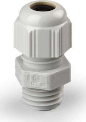 Ensto Dlawik Kabelverschraubung M25 13-18mm Polyamid Ktm24.25 Ensto Dlawik Kabelverschraubung M25 13-18mm Polyamid Ktm24.25