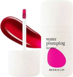 Berrisom Lip Stain