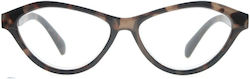 Frog Optical Lesebrille +1.25 in Braun Farbe