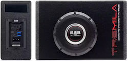 ESB Auto-Subwoofer 600W RMS