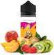 Blackout Flavor Shot Celebrate Dasher 24ml/120m...