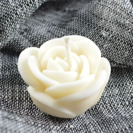 Mini Rose Powder