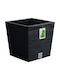 Prosperplast Furu Topf Charcoal