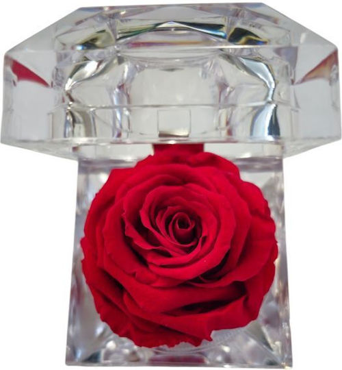 Erhaltene Rote Rose Dekorative künstliche Blumen & Pflanzen in Box