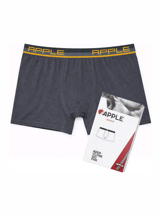 Apple Boxer Herren Boxershorts Anthracite - Gol...