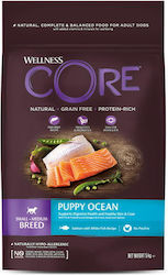 Wellness 1.5kg Dry Dog Food For Puppies Of Small And Medium Breeds With Salmon Meat Poultry Fish Beef Potatoes And Apple Wellness 1.5kg Dry Dog Food For Puppies Of Small And Medium Breeds With Salmon Meat Poultry Fish Beef Potatoes And Apple